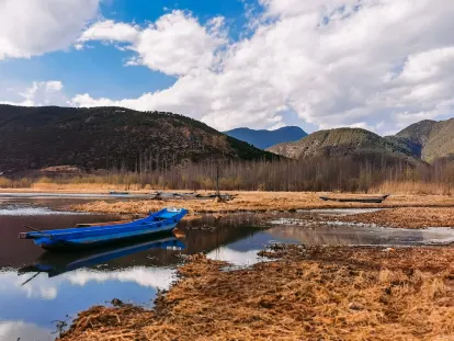 BigWins Kasyno Aplikacja mobilna